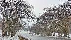 takano2-20250408153031.jpg
