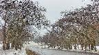 takano2-20250408154031.jpg