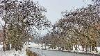 takano2-20250408155032.jpg