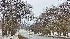 takano2-20250408160031.jpg