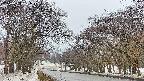 takano2-20250408161029.jpg