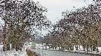 takano2-20250408162030.jpg