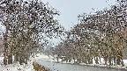 takano2-20250408163031.jpg