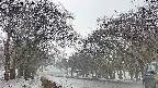 takano2-20250408164029.jpg