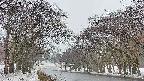 takano2-20250408165031.jpg