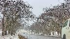 takano2-20250408170031.jpg