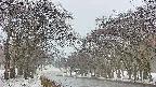 takano2-20250408171030.jpg