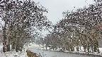 takano2-20250408173030.jpg