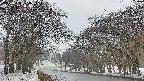 takano2-20250408174033.jpg