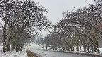 takano2-20250408175030.jpg
