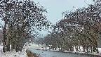 takano2-20250408180031.jpg