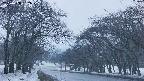 takano2-20250408182030.jpg