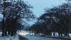 takano2-20250408183031.jpg