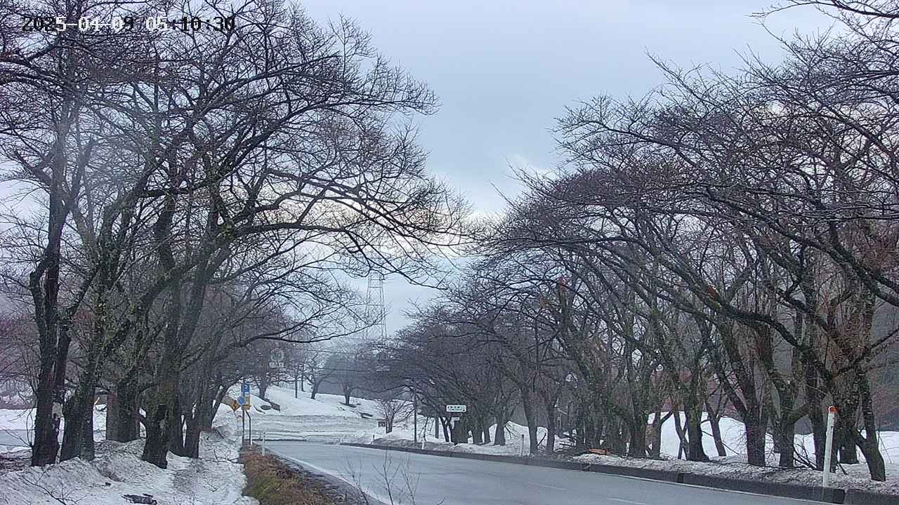 takano2-20250409051032.jpg