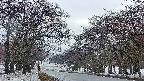 takano2-20250409052030.jpg