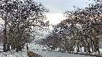 takano2-20250409053029.jpg