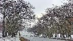 takano2-20250409054028.jpg