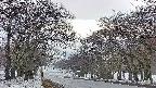takano2-20250409055030.jpg