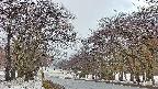 takano2-20250409060030.jpg