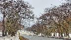 takano2-20250409063031.jpg