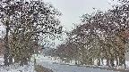 takano2-20250409064029.jpg