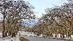 takano2-20250409074030.jpg