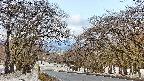 takano2-20250409075031.jpg