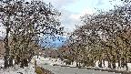 takano2-20250409080029.jpg