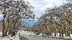 takano2-20250409082043.jpg