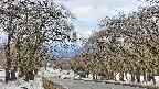 takano2-20250409083033.jpg