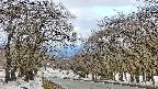 takano2-20250409084033.jpg