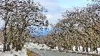 takano2-20250409090031.jpg