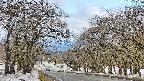 takano2-20250409091033.jpg