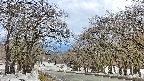 takano2-20250409093032.jpg
