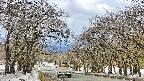 takano2-20250409094032.jpg