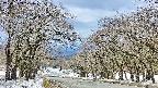 takano2-20250409101030.jpg