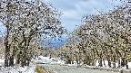 takano2-20250409102031.jpg