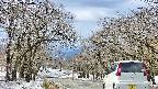 takano2-20250409104031.jpg