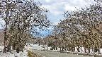 takano2-20250409115032.jpg
