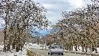 takano2-20250409120032.jpg