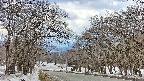 takano2-20250409131031.jpg