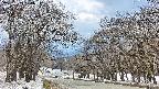 takano2-20250409132033.jpg