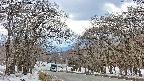 takano2-20250409133030.jpg