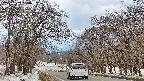 takano2-20250409134031.jpg