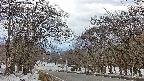takano2-20250409135032.jpg