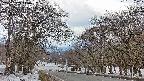 takano2-20250409140032.jpg