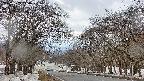 takano2-20250409144031.jpg