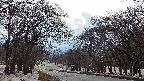 takano2-20250409153030.jpg