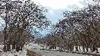takano2-20250409154032.jpg