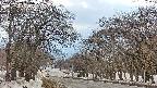 takano2-20250409155031.jpg